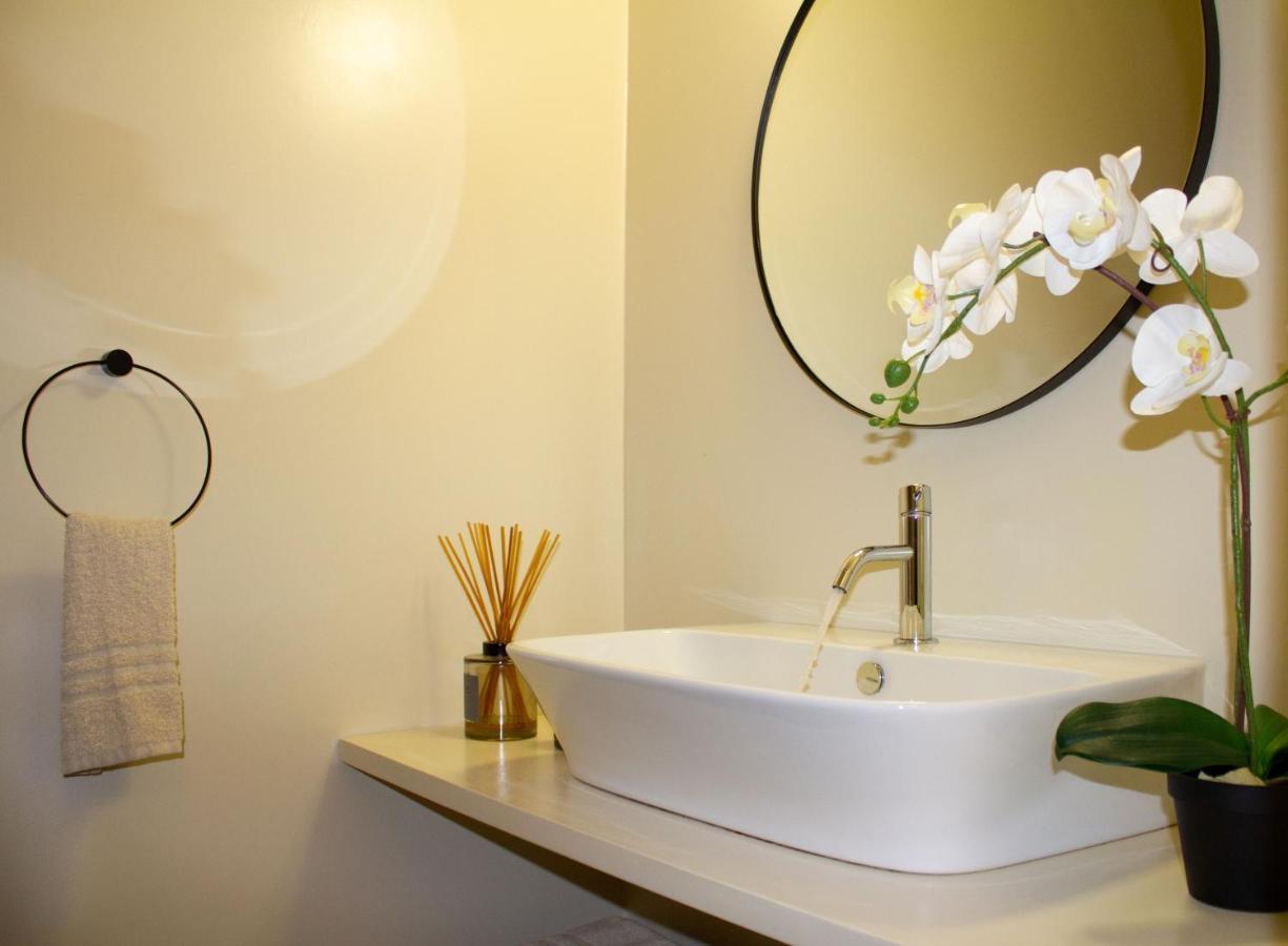 Dolfin Apartment * * * * * تريفيزو المظهر الخارجي الصورة